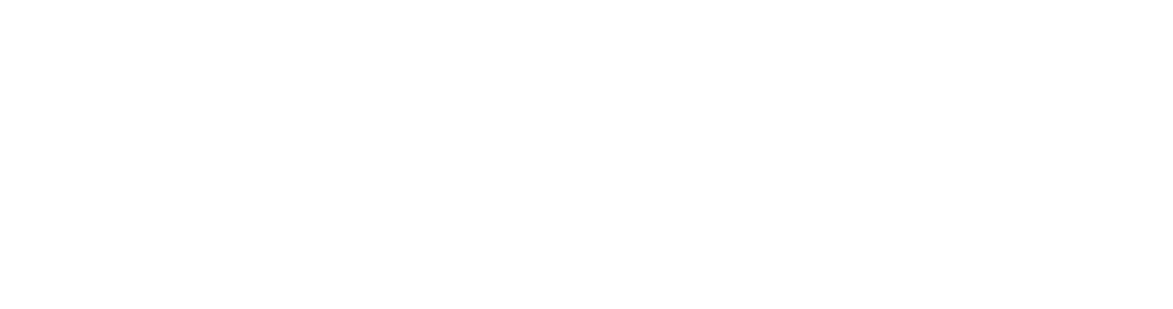 Fitnissi Logo